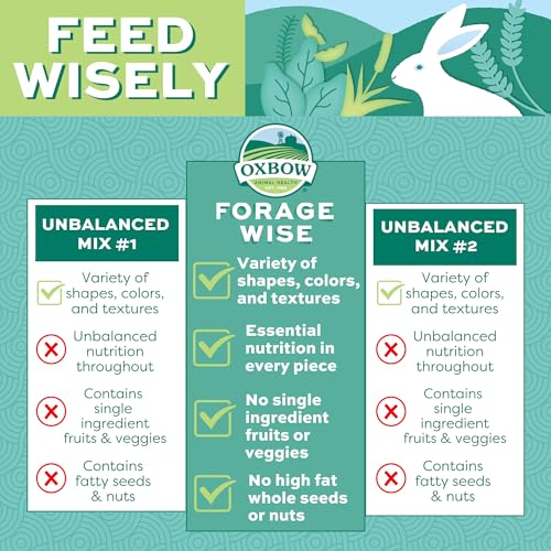 Oxbow Forage Wise Adult Rabbit Food, Engaging Variety Diet with Complete Nutrition in Every Piece, Timothy Hay - view 3