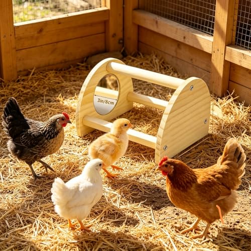 Pine Chicken Perch with Mirror, Strong Chick Jungle Gym Roosting Bar, Chicken Toys for Coop and Brooder, Train - view 7