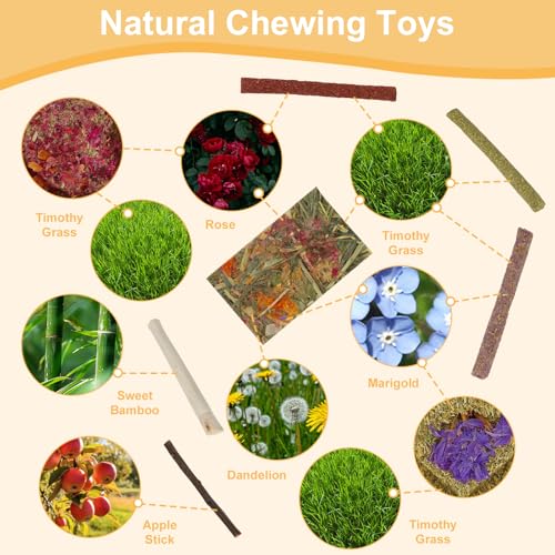 65PCS Rabbit Bunny Guinea Pig Chew Toys Treats, Chinchilla Hamster Chews Toys for Teeth, Timothy Hay Chips Tre - view 3