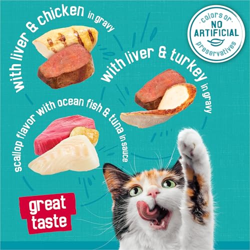 Purina Friskies Wet Cat Food Variety Pack, Tasty Treasures Filets (With Ocean Fish and Tuna, With Chicken and  - view 5