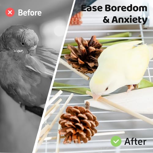 40 Pcs Bird Parrot Toys, Natural Bird Foraging Toy for Cockatiels, Lovebirds, Budgies, Small to Medium Parrot - view 6