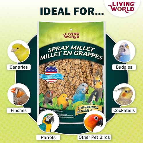 Living World - Millet Spray for Birds, 3.5 Oz – Premium Treat for Budgies, Canaries, Finches, Cockatiels and O - view 5