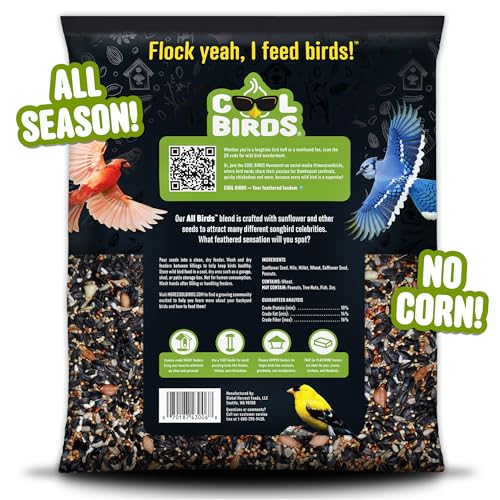 All Birds Wild Bird Seed – 10 lb. Classic Blend with Black Oil Sunflower, White Millet, Safflower, Peanuts & S - view 3