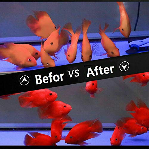 High Protein Floating Sticks Fish pellets for Arowana,Oscars,Flower Horns,Red Parrots Arowana pellets,1kg (2.2 - view 5