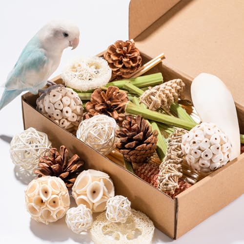 40 Pcs Bird Parrot Toys, Natural Bird Foraging Toy for Cockatiels, Lovebirds, Budgies, Small to Medium Parrot - view 2