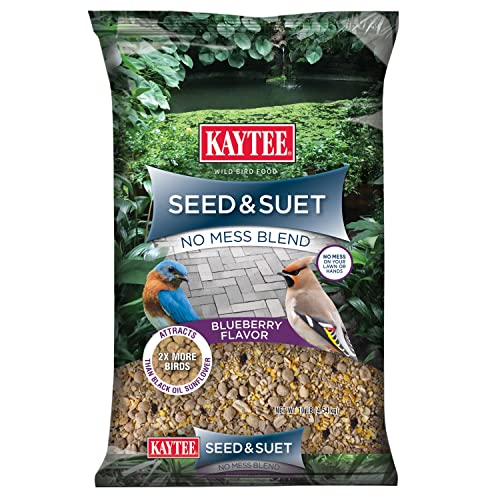 Kaytee Seed & Suet No Mess Blend Blueberry Flavor 10 Pounds - view 2