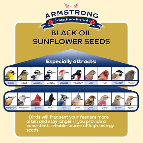 Armstrong Wild Bird Food Black Oil Sunflower Bird Seed, 35.3 Pounds - for Northern Cardinals, Blue Jays and Ha - view 4