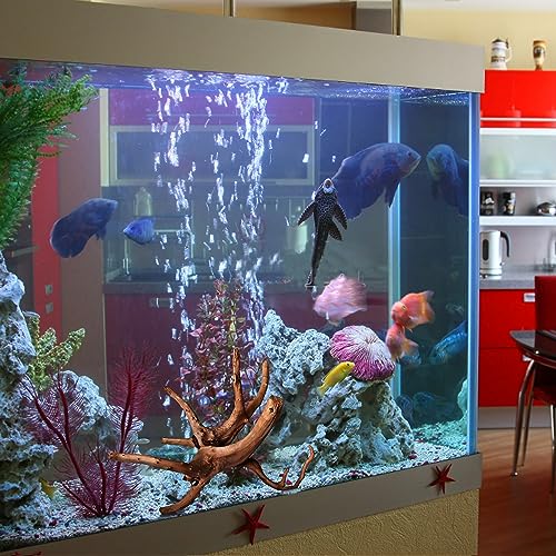 majoywoo Natural Driftwood for Aquarium Decor Fish Tank Decorations, Assorted Spider Wood Branch 7-11" 3 Pcs,  - view 5
