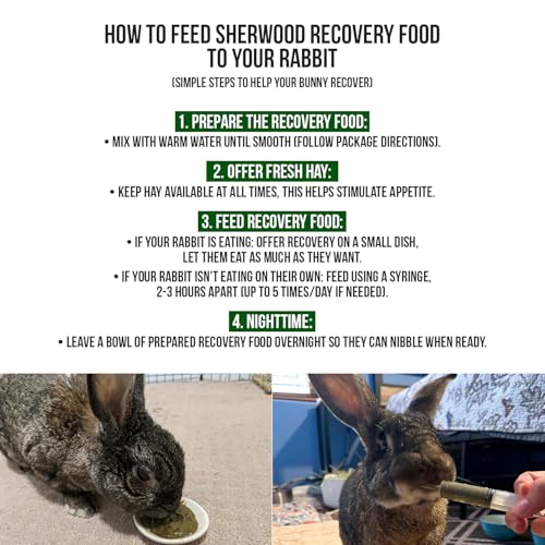 Sherwood Pet Health Rabbit Emergency kit and Bulk Recovery Food (Small kit) - view 4