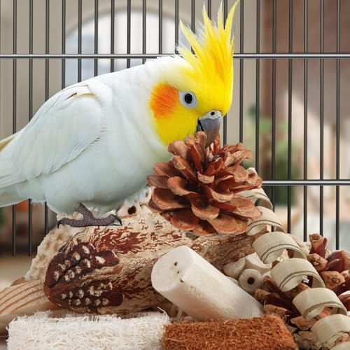 Kyouki Bird Toys Parrot Toys Natural Bird Foraging Box Foot for Parakeets,Cockatiels,Conures,Love Birds,and Ot - view 5