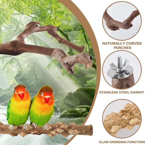 6-Piece Bird Perch Set - Natural Wood Grape Sticks, Paw Grinding Forks, Bird Stand & Toys for Parakeets, Cocka - view 4