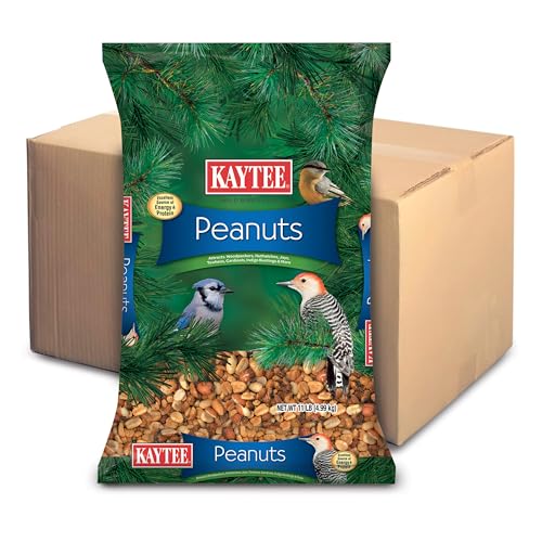 Kaytee Shelled Peanuts for Cardinals, Blue Jays, Woodpeckers and Other Outside Wild Birds, 11 Pounds - view 2