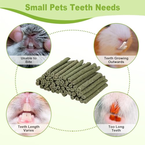 100PCS Timothy Hay Sticks for Rabbits Guinea Pigs Chinchillas Chew Treats, Natural Timothy Grass Molar Teeth S - view 4