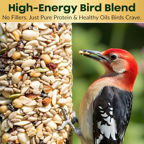 Woodpecker Bird Seed Cylinders with Hole – Premium Woodpecker Food Blend with Sunflower Chips, Peanuts & Suet  - view 7