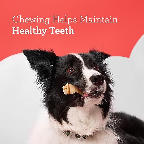 DreamBone Sweet Potato Dog Chew (24 Piece/Pack), Mini - view 7