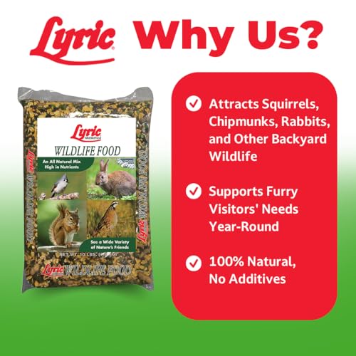 Lyric Wildlife Critter Food for Deer, Squirrels, Turkeys & Rabbits, Wild Bird Seed for Outside Feeders, 10 lb  - view 4