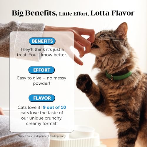 Cat Skin & Coat Health Chews – Crunchy & Creamy Treats with Omegas, Vitamin C & E, Biotin – Soothes Itchy, Dry - view 5