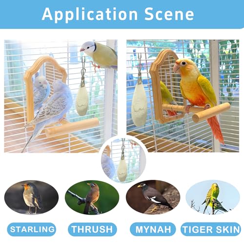 Jmxu's 3.5"-4" Cuttlebone for Birds Parakeets, Cuddle Bone with Metal Clip, Cuttlefish Bone for Sharp Beaks, N - view 5