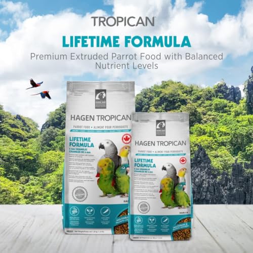 HARI Tropican Bird Food, Hagen Parrot Food with Peanuts & Sunflower Seeds, Maintenance Parrot Granules, Lifeti - view 3