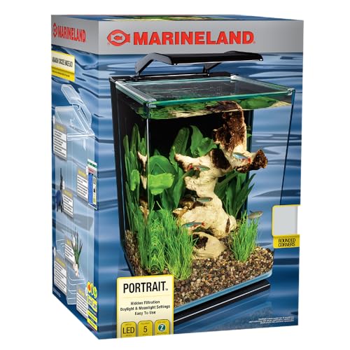 Marineland Portrait Glass LED Aquarium Kit, 5 Gallons, Hidden Filtration,Black - view 3
