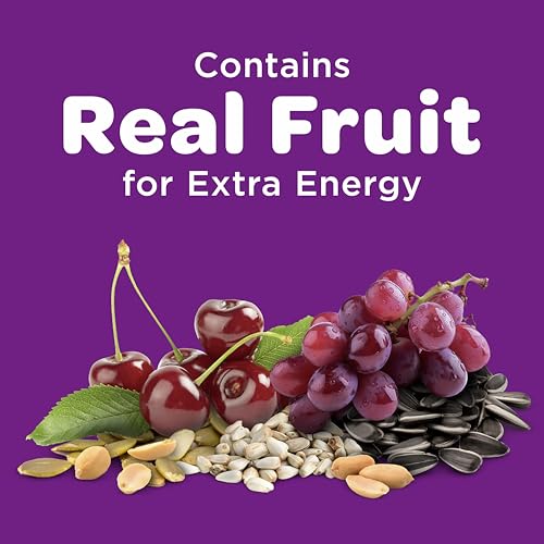 Kaytee Nut & Fruit Wild Bird Seed, 5 lb - view 3