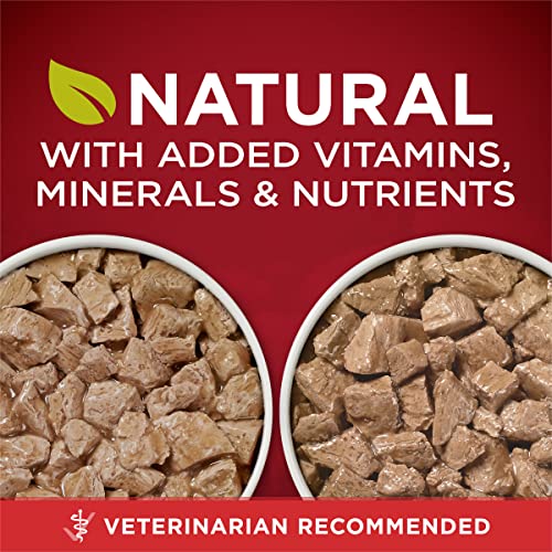 Purina ONE True Instinct Tender Cuts in Gravy with Real Turkey and Venison, and with Real Chicken and Duck Hig - view 4
