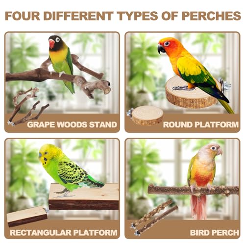 6-Piece Bird Perch Set - Natural Wood Grape Sticks, Paw Grinding Forks, Bird Stand & Toys for Parakeets, Cocka - view 5