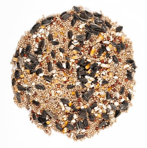 Wagner's 62008 Western Regional Blend Wild Bird Food, 20-Pound Bag - view 4