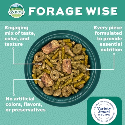 Oxbow Forage Wise Adult Rabbit Food, Engaging Variety Diet with Complete Nutrition in Every Piece, Timothy Hay - view 5