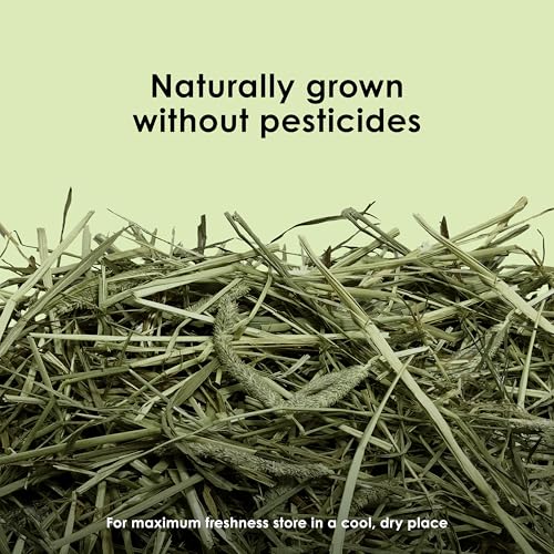 Kaytee Timothy Hay, High Fiber, Grown Specifically for Small Animals, Rabbits, Guinea Pigs, Chinchillas, 48 Ou - view 4