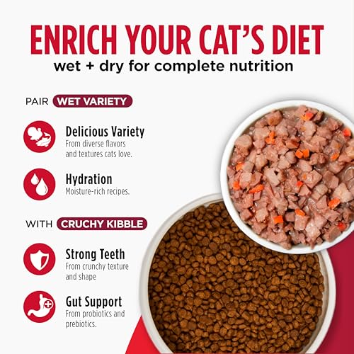Nulo Freestyle Cat & Kitten Dry Food - Chicken & Cod Recipe, High Protein Grain Free Cat Food, Natural Kibble  - view 7