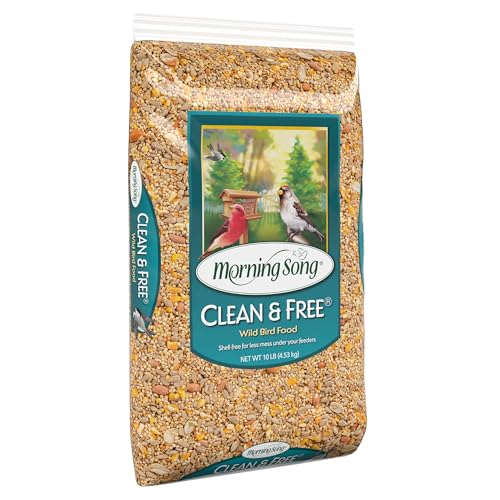 Morning Song Clean & Free Shell Free Wild Bird Food, Premium No Mess Bird Seed for Outside Feeders, 10-Pound B - view 3