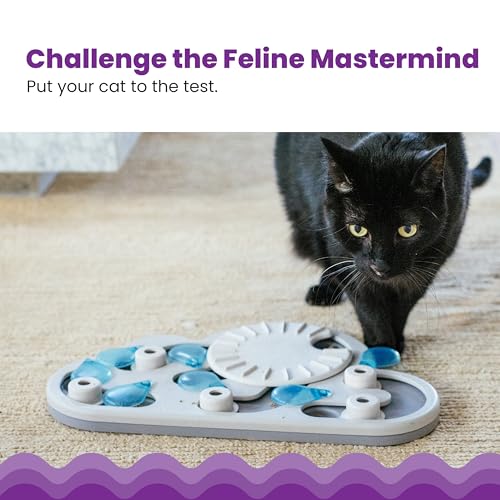 Catstages Nina Ottosson Rainy Day Puzzle & Play Cat Puzzle Feeder – Interactive Treat Game for Indoor Cats, Le - view 3
