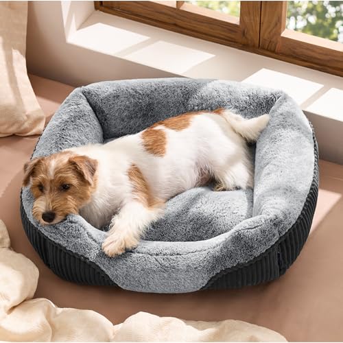 Bedsure Washable Dog Bed Small Medium Size Dog - Rectangle Fluffy Plush Pet Bed Puppy Bed, Comfy Corduroy Flee - view 2