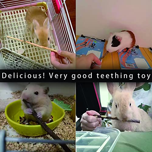 Natural Apple Sticks, 500g Treats Food for Small Animals, Chew Toys for Chinchilla Guinea Pigs Rabbit Squirrel - view 7