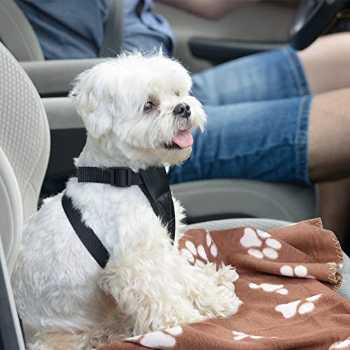 Comsmart Dog Blankets for Small Dogs, 6 Pack Puppy Blanket Cute Paw Print Pet Blanket for Dog, Puppy, Cat, Kit - view 5