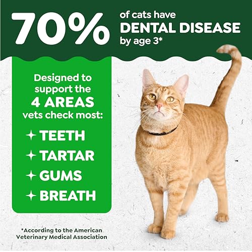 Greenies Cat Treats, Feline Veterinarian-Recommended Adult Natural Dental Treats, Catnip Flavor, 9.75 oz. Tub - view 4