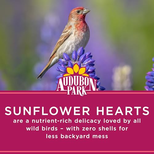 Audubon Park Sunflower Hearts Wild Bird Seed for Outside Feeders, 15-lb. Bag - view 5