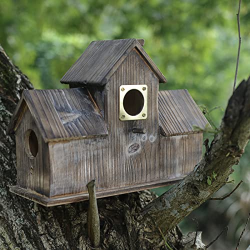 6-piece Metal Bluebird House Predator Guard，Metal Birdhouse Guard，Bird House Hole Protector Guard for Eastern  - view 3