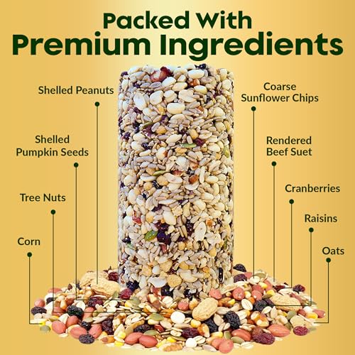 Woodpecker Bird Seed Cylinders with Hole – Premium Woodpecker Food Blend with Sunflower Chips, Peanuts & Suet  - view 3