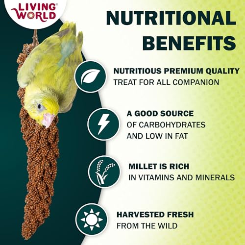 Living World - Millet Spray for Birds, 3.5 Oz – Premium Treat for Budgies, Canaries, Finches, Cockatiels and O - view 3