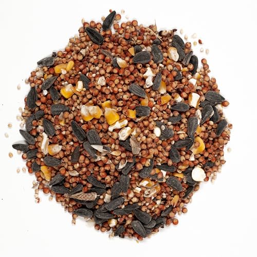 Wagner's 53002 Farmer's Delight Wild Bird Food with Cherry Flavor, 10-Pound Bag - view 4