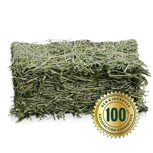 Eaton Pet and Pasture Naturally Grown, Premium, 1st Cut Blend, Western Timothy Hay Orchard Blend, Small Animal - view 3