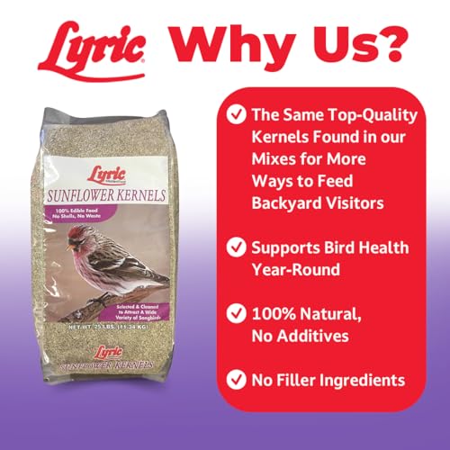 Lyric Sunflower Kernels Wild Bird Seed for Outside Feeders, No Waste Bird Food, Attracts Finches and More, 25  - view 4