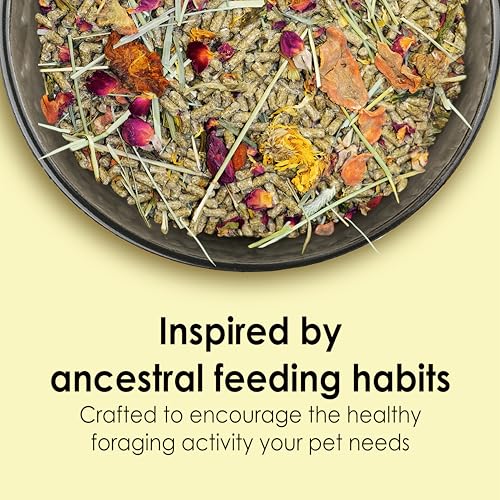 Kaytee Food from The Wild Natural Pet Rabbit Food, 4 Pound - view 3