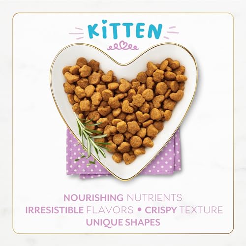 Purina Fancy Feast Kitten With Savory Chicken and Turkey Kitten Dry Food - 3 lb. Bag - view 3