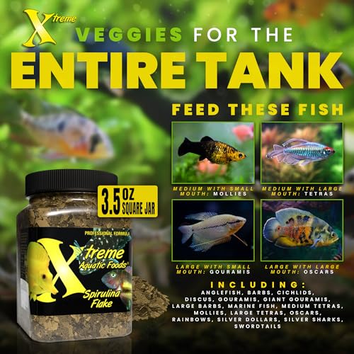 Xtreme Spirulina Flakes - Balanced Herbivorous Diet for Tropical and Marine Fish, Enhanced Health, Vibrant Col - view 4
