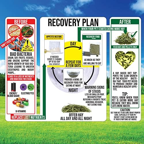 Sherwood Pet Health Rabbit Emergency kit and Bulk Recovery Food (Small kit) - view 5