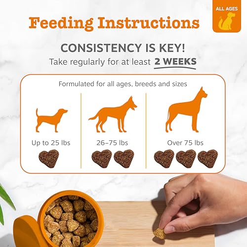 Zesty Paws Omega 3 Alaskan Fish Oil Chew Treats for Dogs - with AlaskOmega for EPA & DHA Fatty Acids - Hip & J - view 5