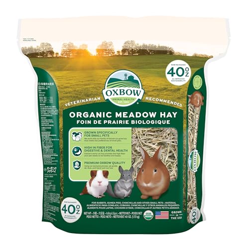Oxbow Organic Meadow Hay, Guinea Pig & Rabbit Hay, Small Pet Bunny Supplies, All Natural Grass for Guinea Pig, - view 2